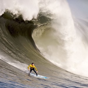 开云体育官方入口-网友投票：你心目中的最佳中超球员，中超最佳新人评选标准