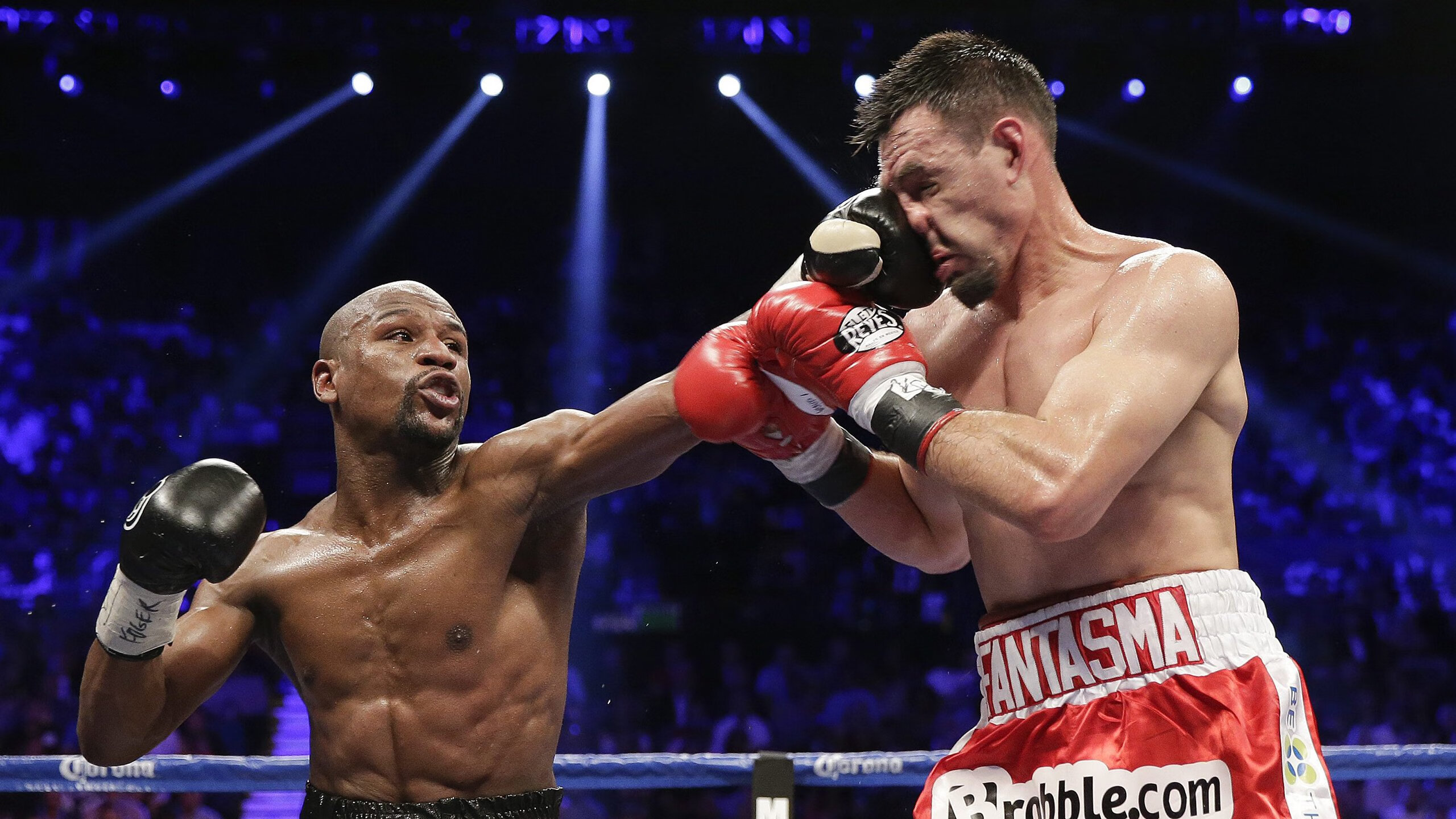 伊朗骑手阿里·巴赫蒂亚里在巴黎奥运会上与“Shahram”马匹共同参赛，尽管因马匹受伤被迫退出，但展现了坚强意志。